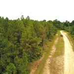 listing image thumbnail with ID 98742