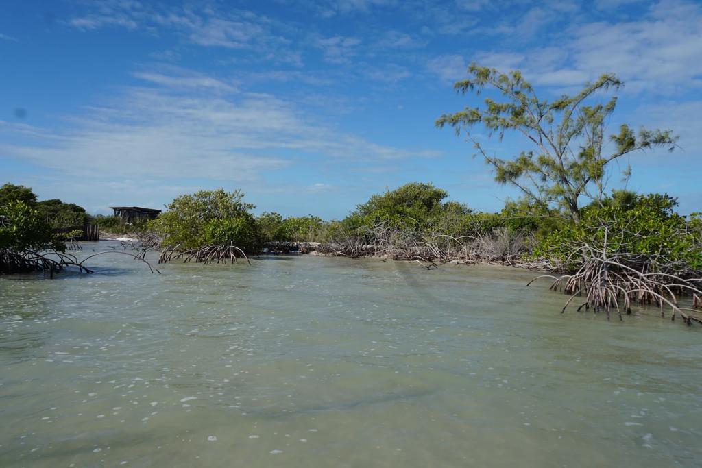 listing image with ID 101178
