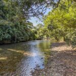 listing image thumbnail with ID 75088