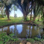 listing image thumbnail with ID 87295