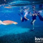 listing image thumbnail with ID 78833