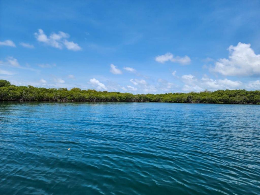 listing image with ID 99203