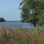 listing image thumbnail with ID 94425