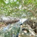 listing image thumbnail with ID 96687