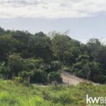 listing image thumbnail with ID 92657