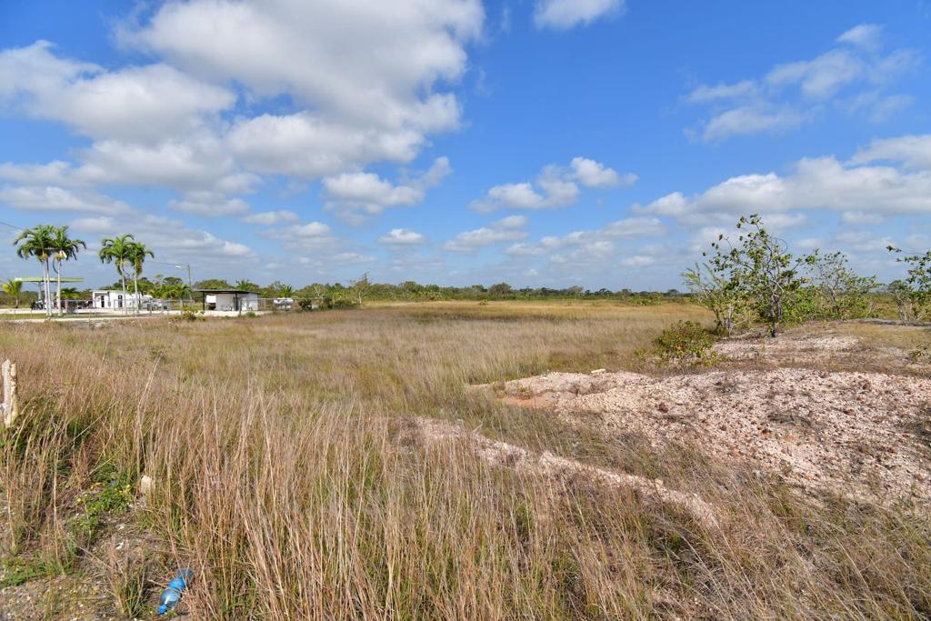 listing image with ID 105559