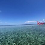 listing image thumbnail with ID 86021