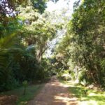 listing image thumbnail with ID 92283