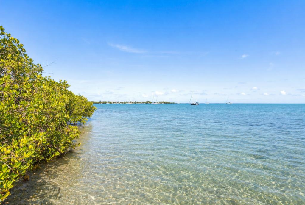 listing image with ID 74386