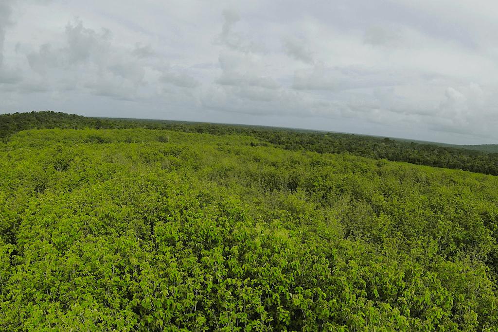 listing image with ID 81247