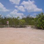 listing image thumbnail with ID 90149