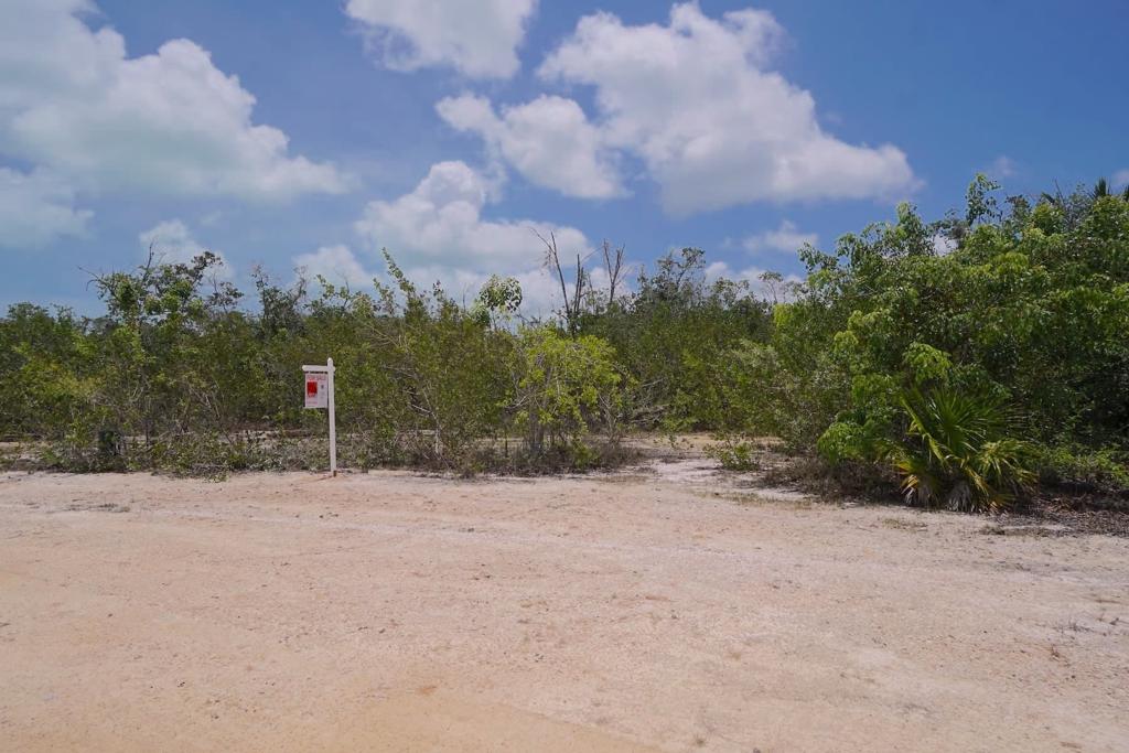 listing image with ID 90149