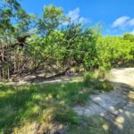 listing image thumbnail with ID 94860