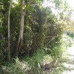 listing image thumbnail with ID 92469