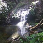 listing image thumbnail with ID 87264