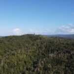 listing image thumbnail with ID 105326