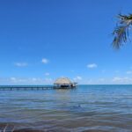 listing image thumbnail with ID 75916