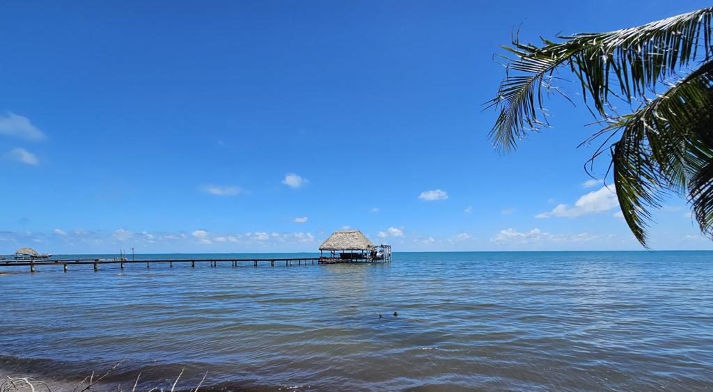 listing image with ID 75916