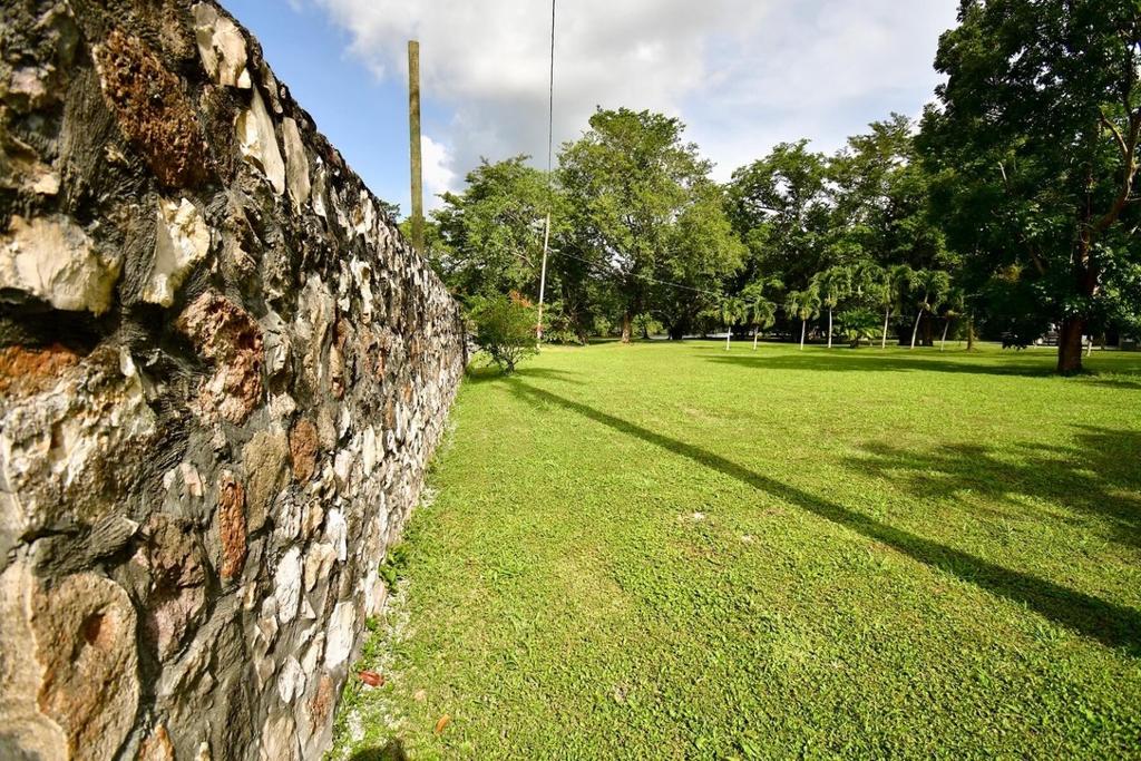 listing image with ID 84003