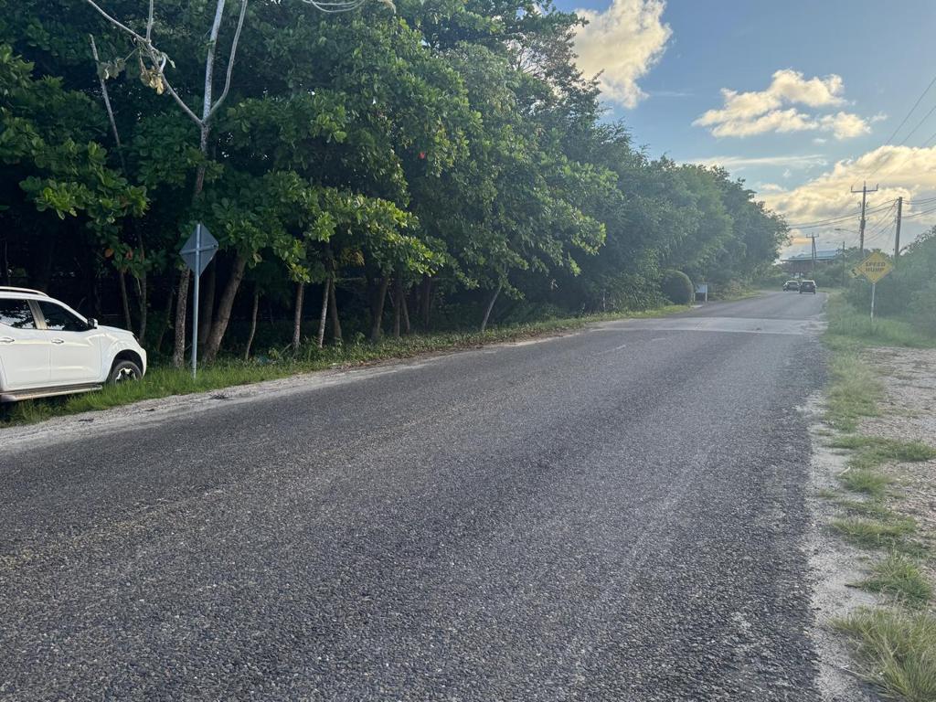 listing image with ID 93564