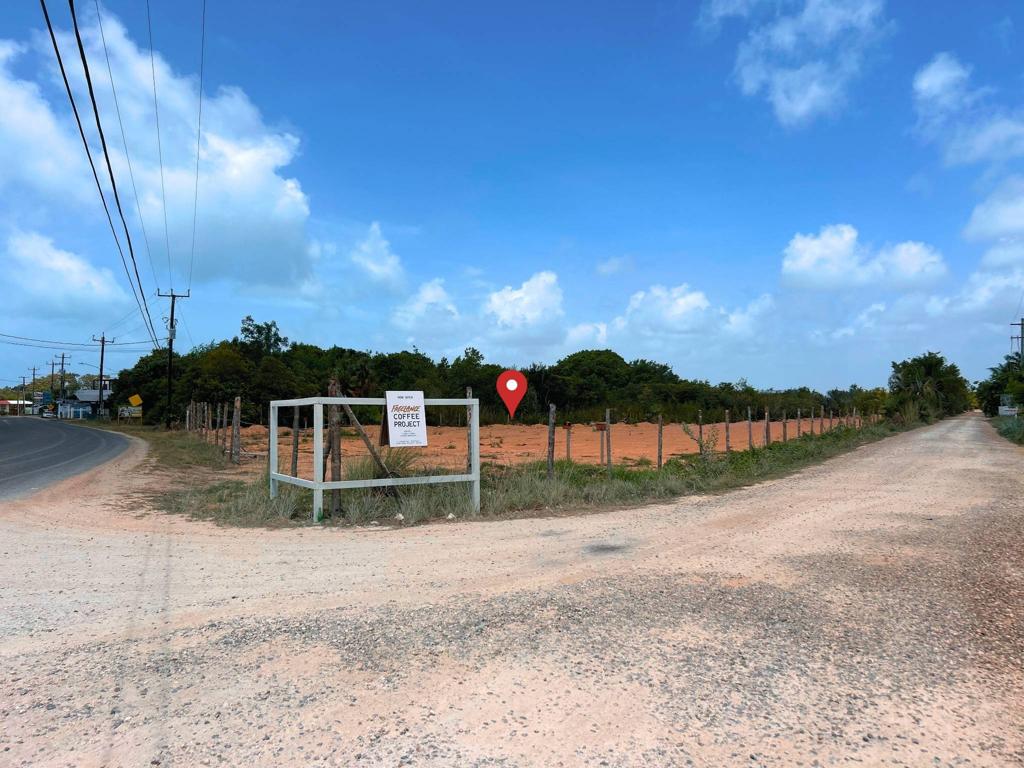 listing image with ID 97388