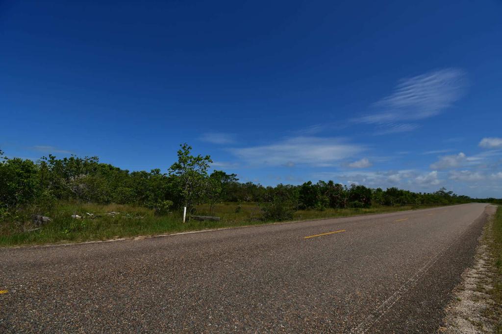 listing image with ID 86345