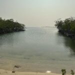 listing image thumbnail with ID 85272