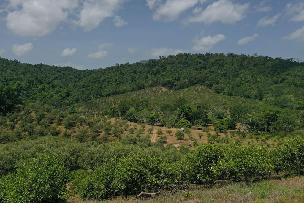 listing image with ID 97723