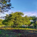 listing image thumbnail with ID 91578