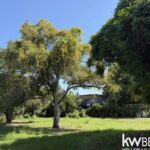 listing image thumbnail with ID 108258