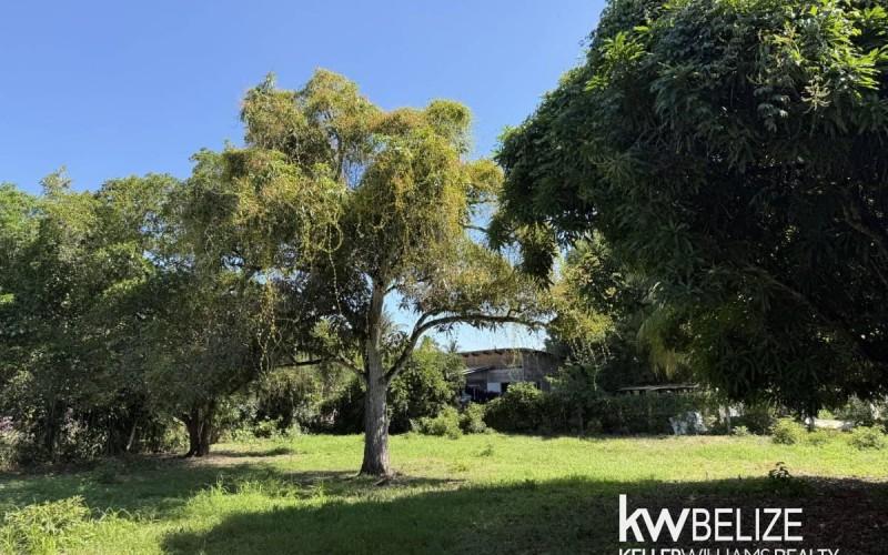 listing image with ID 108258