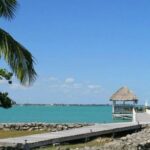 listing image thumbnail with ID 86356