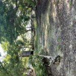 listing image thumbnail with ID 98456