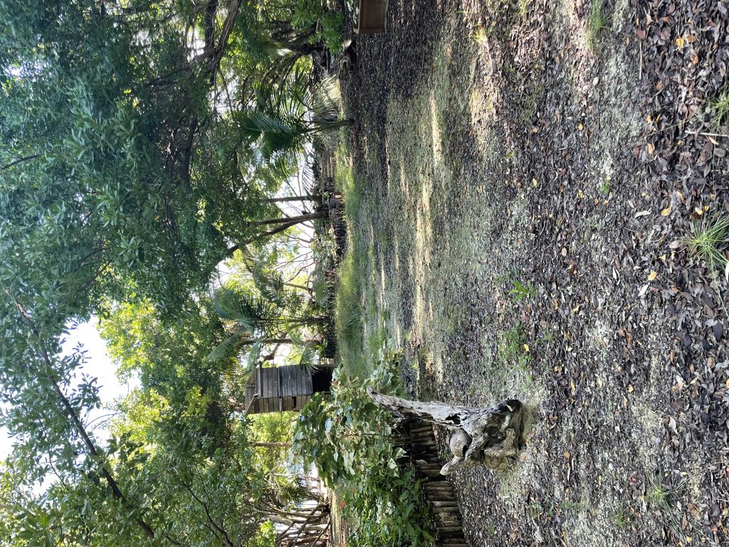listing image with ID 98456