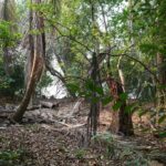 listing image thumbnail with ID 105738