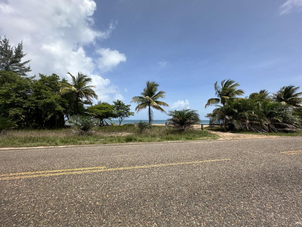 listing image with ID 80363