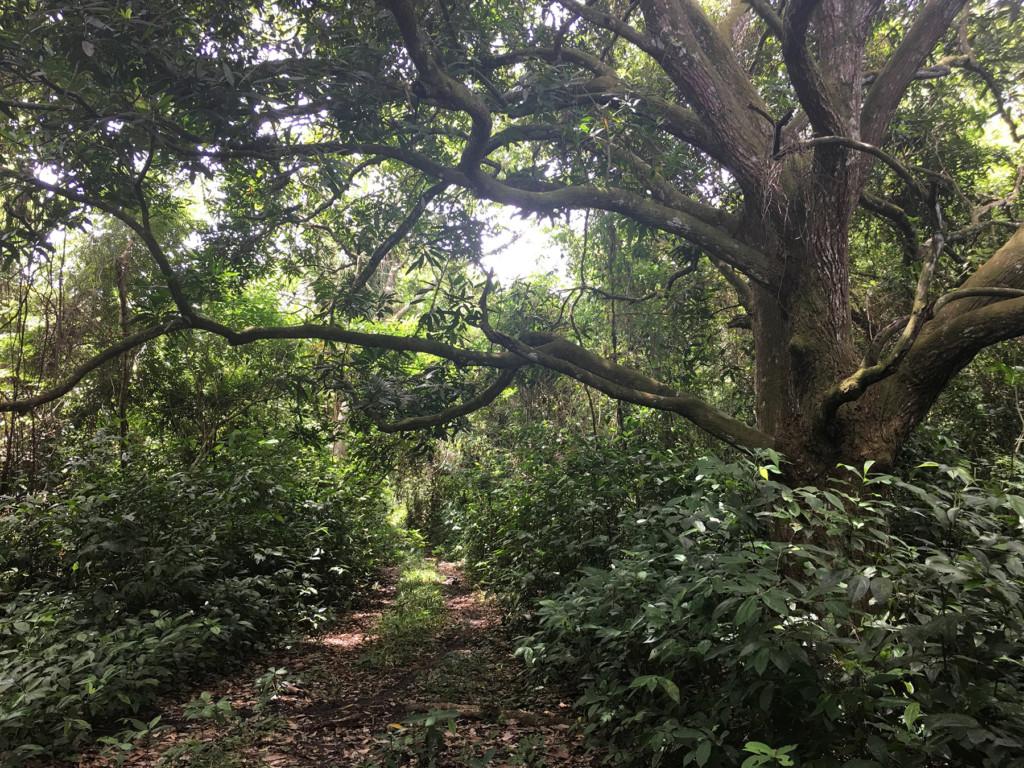 listing image with ID 83483