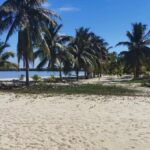listing image thumbnail with ID 107719