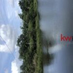 listing image thumbnail with ID 85926