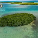 listing image thumbnail with ID 106205