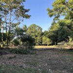 listing image thumbnail with ID 85512