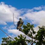 listing image thumbnail with ID 76319