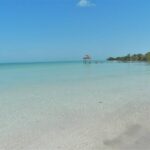 listing image thumbnail with ID 93336