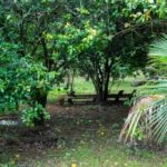 listing image thumbnail with ID 104718