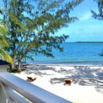 listing image thumbnail with ID 102839