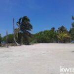 listing image thumbnail with ID 93938