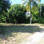 listing image thumbnail with ID 81693