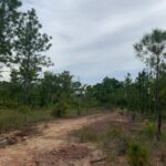 listing image thumbnail with ID 100775