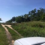 listing image thumbnail with ID 81947