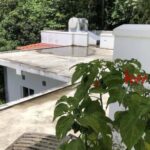 listing image thumbnail with ID 106544